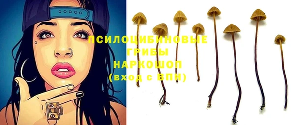 эйфоретик Арсеньев