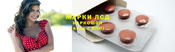 СК Аркадак