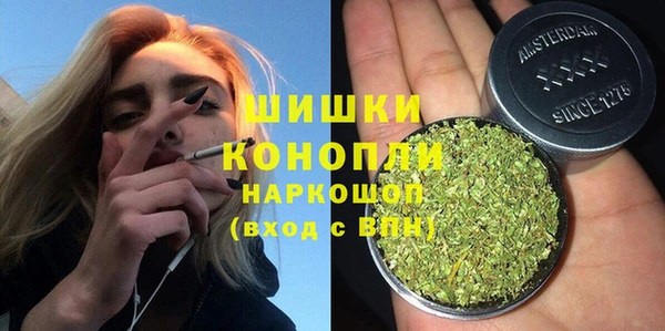 эйфоретик Арсеньев