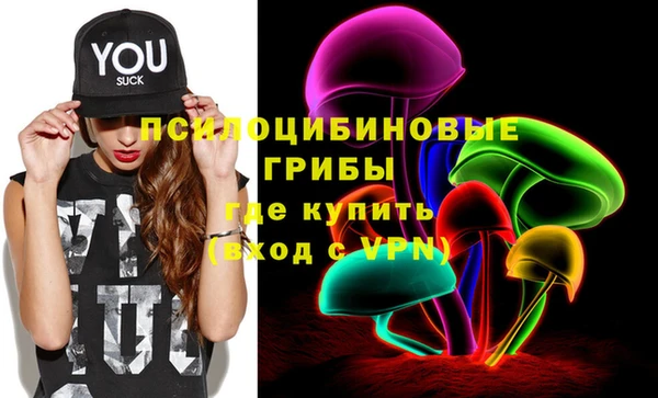 эйфоретик Арсеньев