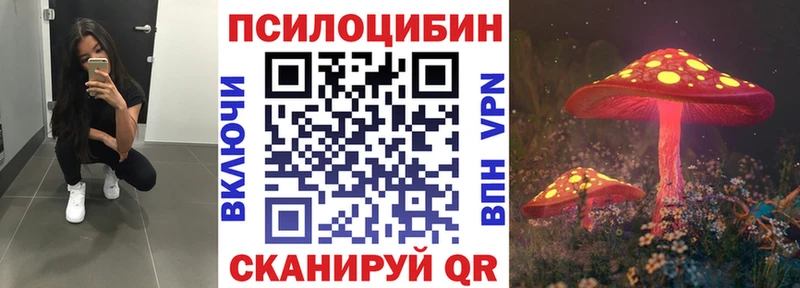 купить наркотики цена  Балтийск  Псилоцибиновые грибы мицелий 