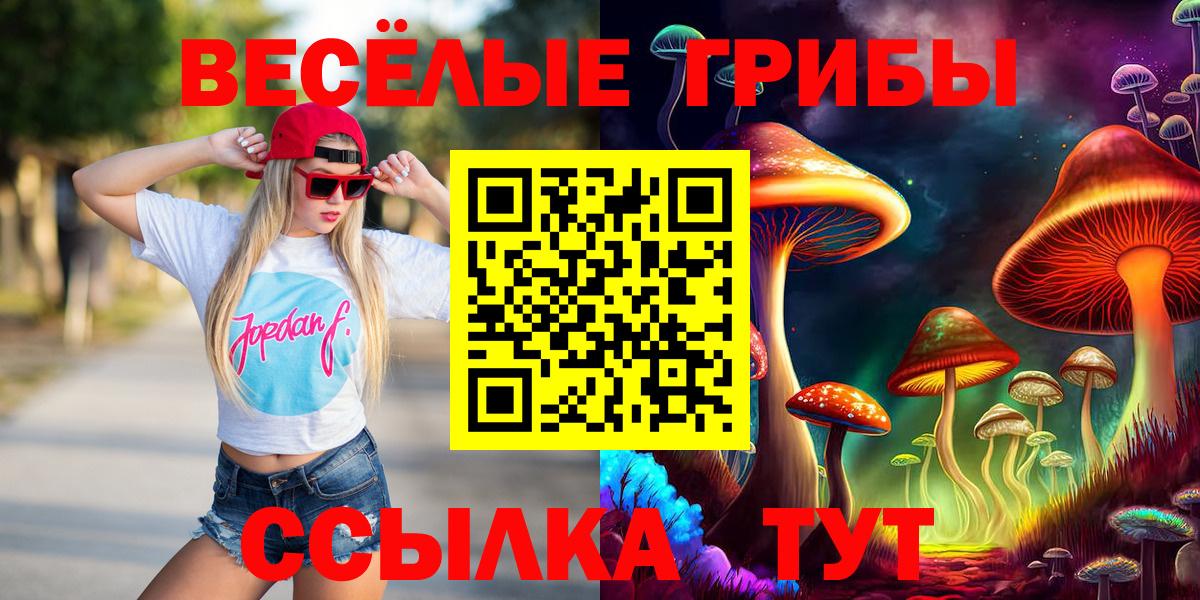 Галлюциногенные грибы Magic Shrooms  Вход с VPN  Балтийск  Галлюциногенные грибы Psilocybine cubensis 