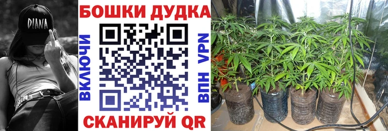 Бошки марихуана AK-47  купить наркотики цена  Балтийск 